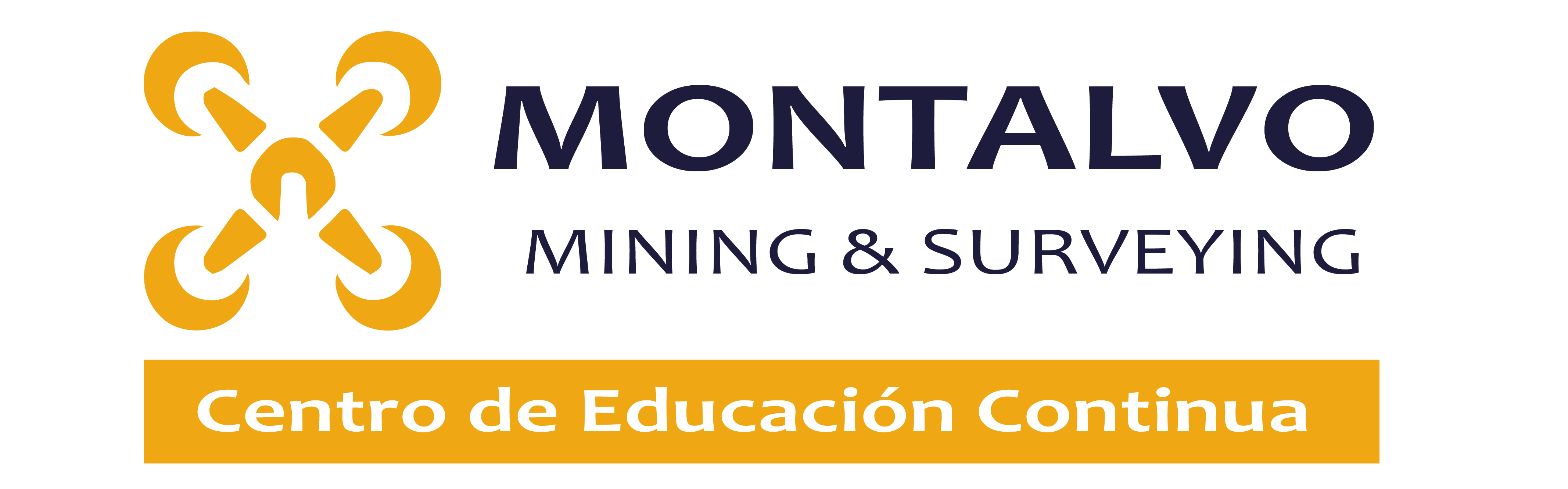 Educacion Montalvo Mining & Surveying S.A.S