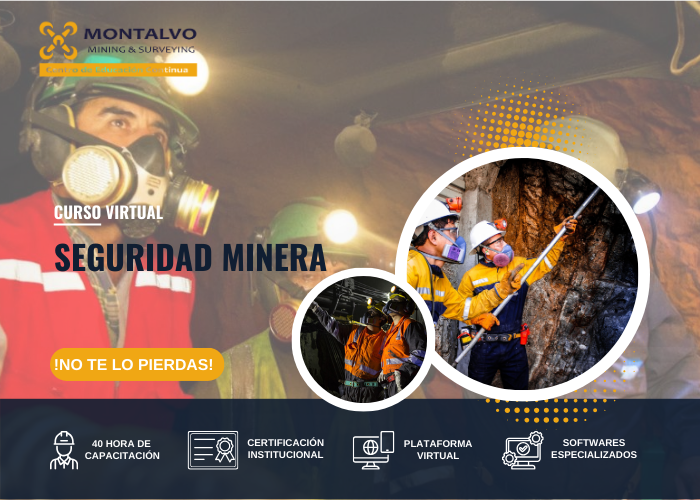 SEGURIDAD MINERA